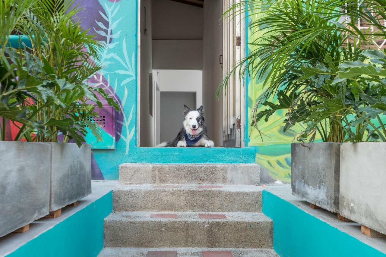Hostel Gaston Coliving Medellín Exterior foto